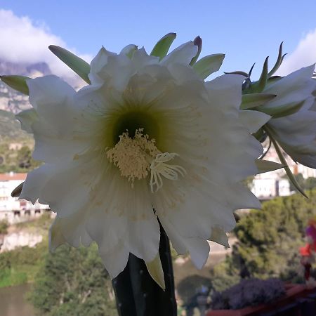 Апартаменти Piso Con Desayuno Incluido Y Vistas A La Montana. Monistrol de Montserrat Екстер'єр фото