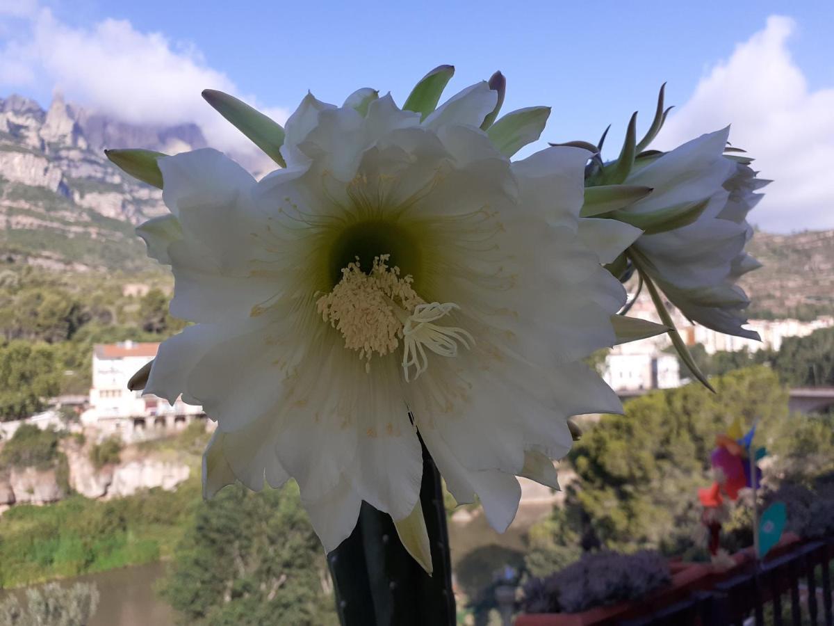 Апартаменти Piso Con Desayuno Incluido Y Vistas A La Montana. Monistrol de Montserrat Екстер'єр фото